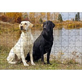 Cakapuzzle Göl Kenarındaki Beyaz ve Siyah Labradorlar Mdf 120 Parça Puzzle
