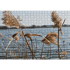 Cakapuzzle Göl Kıyısında Sazlar 120 Parça Ahşap Puzzle