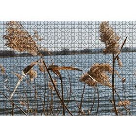 Cakapuzzle Göl Kıyısında Sazlar 120 Parça Ahşap Puzzle