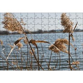 Cakapuzzle Göl Kıyısında Sazlar 120 Parça Ahşap Puzzle