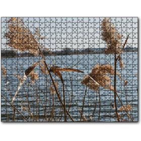 Cakapuzzle Göl Kıyısında Sazlar 255 Parça Puzzle