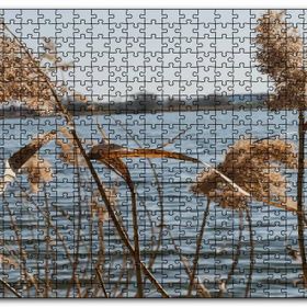 Cakapuzzle Göl Kıyısında Sazlar Mdf 1000 Parça Puzzle