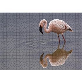 Cakapuzzle Gölde Avlanan Flamingo 120 Parça Ahşap Puzzle