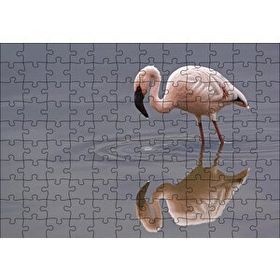 Cakapuzzle Gölde Avlanan Flamingo Mdf 120 Parça Puzzle