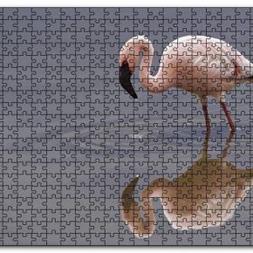 Cakapuzzle Gölde Avlanan Flamingo Mdf 500 Parça Puzzle