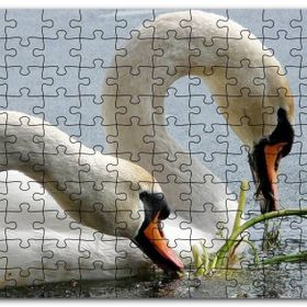 Cakapuzzle Gölde Beslenen Bir Çift Beyaz Kuğu Mdf 120 Parça Puzzle