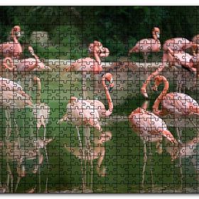 Cakapuzzle Gölde Flamingolar Mdf 500 Parça Puzzle