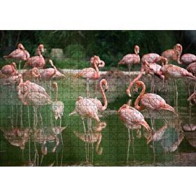 Cakapuzzle Gölde Flamingolar Mdf 500 Parça Puzzle