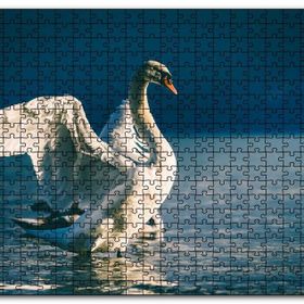 Cakapuzzle Gölde Kanatlarını Açan Kuğular Mdf 1000 Parça Puzzle