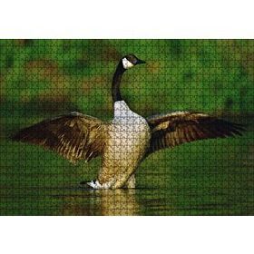 Cakapuzzle Gölde Kanatlarını Açmış Kaz Mdf 1000 Parça Puzzle
