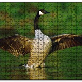 Cakapuzzle Gölde Kanatlarını Açmış Kaz Mdf 500 Parça Puzzle