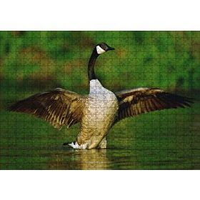 Cakapuzzle Gölde Kanatlarını Açmış Kaz Mdf 500 Parça Puzzle