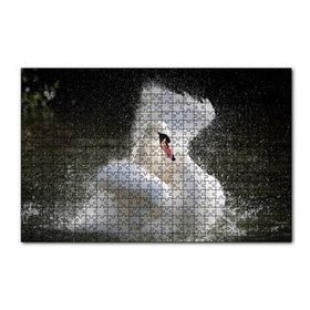 Cakapuzzle Gölde Kanatlarını Temizleyen Beyaz Kuğu 120 Parça Ahşap Puzzle
