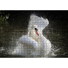 Cakapuzzle Gölde Kanatlarını Temizleyen Beyaz Kuğu 120 Parça Ahşap Puzzle