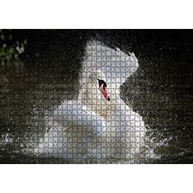 Cakapuzzle Gölde Kanatlarını Temizleyen Beyaz Kuğu 120 Parça Ahşap Puzzle