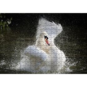 Cakapuzzle Gölde Kanatlarını Temizleyen Beyaz Kuğu 120 Parça Ahşap Puzzle