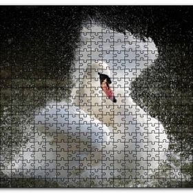 Cakapuzzle Gölde Kanatlarını Temizleyen Beyaz Kuğu Mdf 120 Parça Puzzle