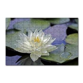 Cakapuzzle Gölde Nilüfer Çiçeği ve Yaprakları 120 Parça Ahşap Puzzle