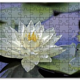 Cakapuzzle Gölde Nilüfer Çiçeği ve Yaprakları Mdf 1000 Parça Puzzle