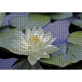 Cakapuzzle Gölde Nilüfer Çiçeği ve Yaprakları Mdf 1000 Parça Puzzle