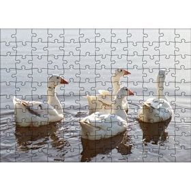 Cakapuzzle Gölde Süzülen Kazlar ve Güneş Işıkları Mdf 120 Parça Puzzle