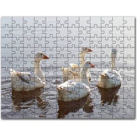 Cakapuzzle Gölde Süzülen Kazlar ve Güneş Işıkları Mdf 500 Parça Puzzle