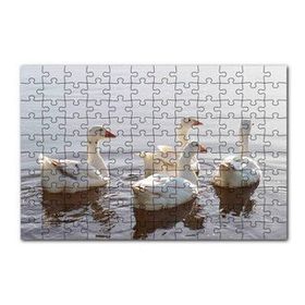 Cakapuzzle Gölde Süzülen Kazlar ve Güneş Işıkları Puzzle