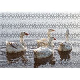 Cakapuzzle Gölde Süzülen Kazlar ve Güneş Işıkları Puzzle