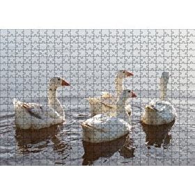 Cakapuzzle Gölde Süzülen Kazlar ve Güneş Işıkları Puzzle