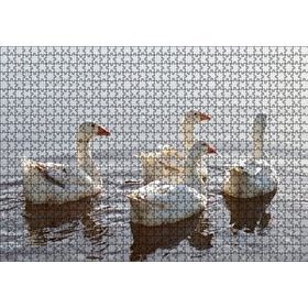 Cakapuzzle Gölde Süzülen Kazlar ve Güneş Işıkları Puzzle