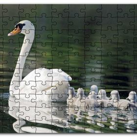Cakapuzzle Gölde Yüzen Beyaz Kuğu ve Arkasında Yavruları Mdf 500 Parça Puzzle