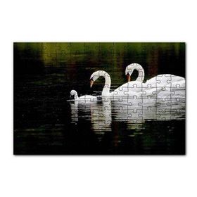 Cakapuzzle Gölde Yüzen Bir Çift Kuğu ve Yavruları 120 Parça Ahşap Puzzle