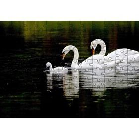 Cakapuzzle Gölde Yüzen Bir Çift Kuğu ve Yavruları 120 Parça Ahşap Puzzle