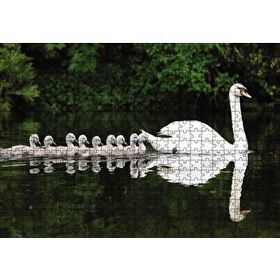 Cakapuzzle Gölde Yüzen Bir Çift Kuğu ve Yavruları 120 Parça Ahşap Puzzle