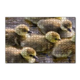 Cakapuzzle Gölde Yüzen Sarı Ördek Yavruları 120 Parça Ahşap Puzzle