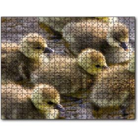 Cakapuzzle Gölde Yüzen Sarı Ördek Yavruları Mdf 255 Parça Puzzle