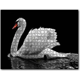 Cakapuzzle Göldeki Beyaz Kuğu 1000 Parça Puzzle