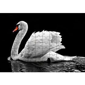 Cakapuzzle Göldeki Beyaz Kuğu 120 Parça Ahşap Puzzle