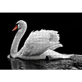 Cakapuzzle Göldeki Beyaz Kuğu Monochrome 120 Parça Ahşap Puzzle