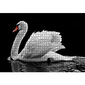Cakapuzzle Göldeki Beyaz Kuğu Monochrome 120 Parça Ahşap Puzzle