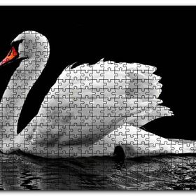 Cakapuzzle Göldeki Beyaz Kuğu Monochrome Mdf 1000 Parça Puzzle
