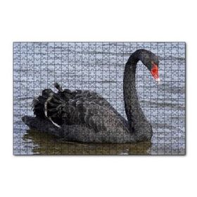 Cakapuzzle Göldeki İhtişamlı Siyah Kuğu 120 Parça Ahşap Puzzle