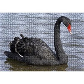 Cakapuzzle Göldeki İhtişamlı Siyah Kuğu 120 Parça Ahşap Puzzle