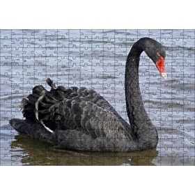 Cakapuzzle Göldeki İhtişamlı Siyah Kuğu 120 Parça Ahşap Puzzle