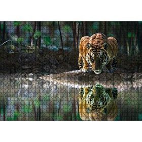 Cakapuzzle Göldeki Kaplan Yansıması Görseli 120 Parça Ahşap Puzzle