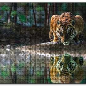 Cakapuzzle Göldeki Kaplan Yansıması Görseli Mdf 120 Parça Puzzle