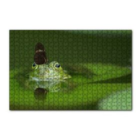 Cakapuzzle Göldeki Yeşil Kurbağa ve Üzerindeki Kelebek 120 Parça Ahşap Puzzle