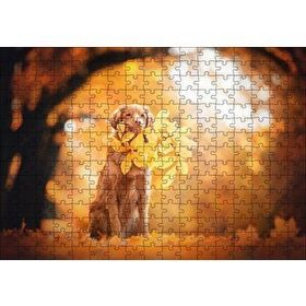 Cakapuzzle Golden Retriever Sonbahar Yaprakları 120 Parça Ahşap Puzzle