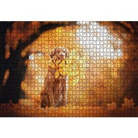 Cakapuzzle Golden Retriever Sonbahar Yaprakları 120 Parça Ahşap Puzzle