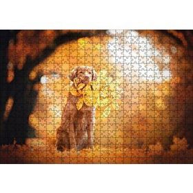 Cakapuzzle Golden Retriever Sonbahar Yaprakları 120 Parça Ahşap Puzzle